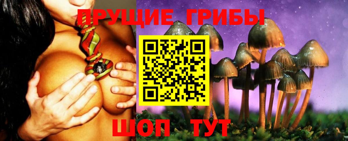 Артёмовский  купить наркоту  Галлюциногенные грибы Cubensis  Вход с VPN  Галлюциногенные грибы мицелий 