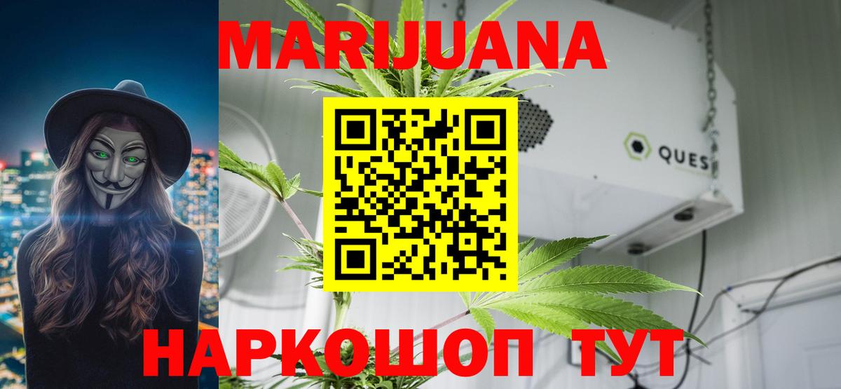 Канабис планчик Артёмовский